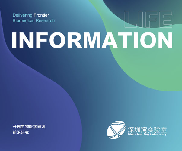 上海新銳標志的崛起與標志設計的未來展望